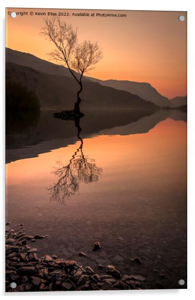 Solitary Splendour: Llyn Padarn's Lone Tree Acrylic by Kevin Elias