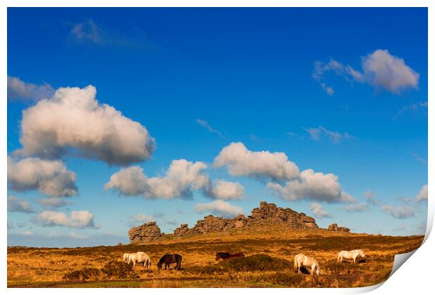 Hound Tor, Dartmoor, Devon Print by Maggie McCall