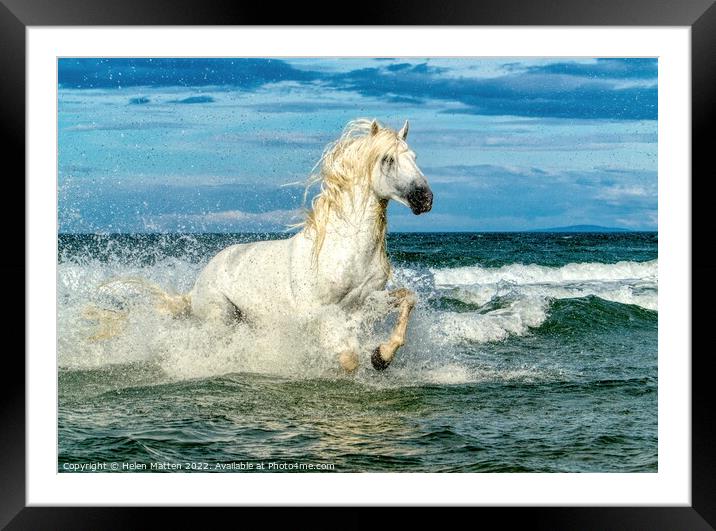 White Camargue Stallion in the sea 3 Framed Mounted Print by Helkoryo Photography