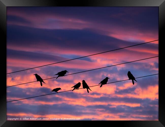 Birds on a wire - sunrise Framed Print by Gillian Robertson