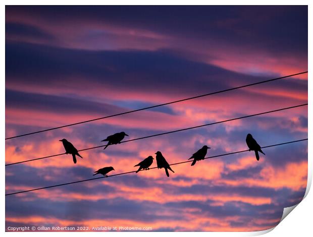 Birds on a wire - sunrise Print by Gillian Robertson