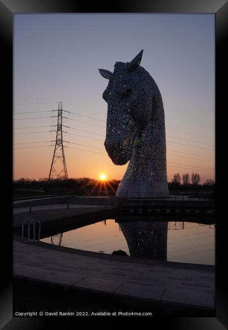the Kelpies at sunset , the Helix , Falkirk Scotland Framed Print by Photogold Prints
