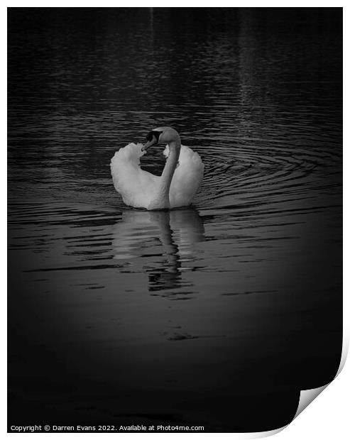 Swan lake Print by Darren Evans