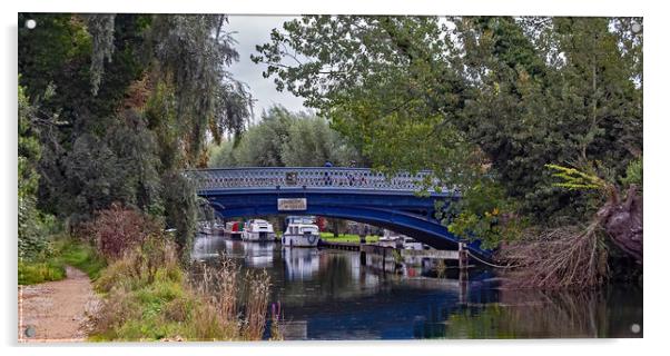 Osney Bridge in Oxford Acrylic by Joyce Storey