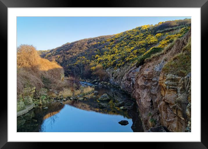 Scalby Beck, Scarborough Framed Mounted Print by Darren Galpin