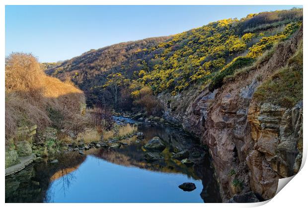 Scalby Beck, Scarborough Print by Darren Galpin