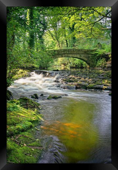 Rivelin Packhorse Bridge & Weir  Framed Print by Darren Galpin