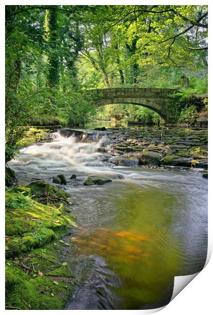 Rivelin Packhorse Bridge & Weir  Print by Darren Galpin