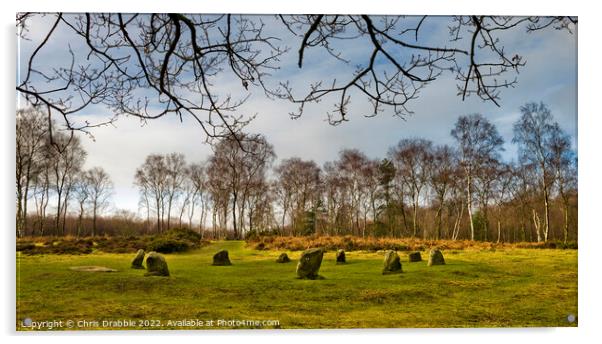 The Nine Ladies Stone Circle, in late afternoon su Acrylic by Chris Drabble