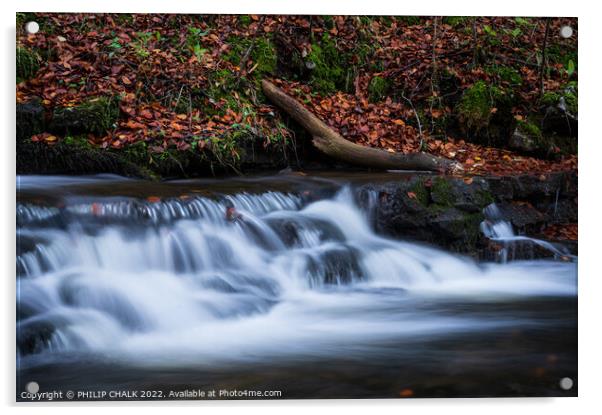 Autumn woodland waterfall 685 Acrylic by PHILIP CHALK