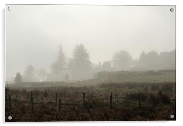 Trees through the mist Acrylic by Richard Smith