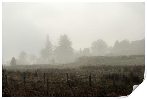 Trees through the mist Print by Richard Smith