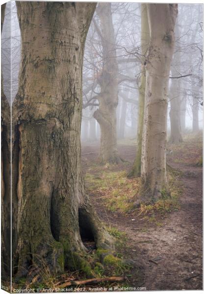 Into the Mist Canvas Print by Andy Shackell