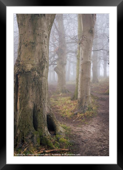 Into the Mist Framed Mounted Print by Andy Shackell