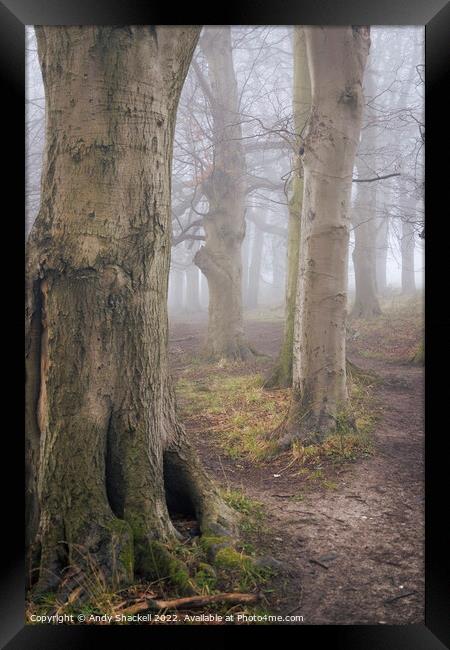 Into the Mist Framed Print by Andy Shackell