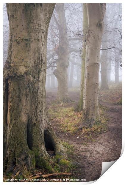 Into the Mist Print by Andy Shackell