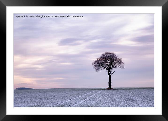 The Lone Tree Framed Mounted Print by Traci Habergham