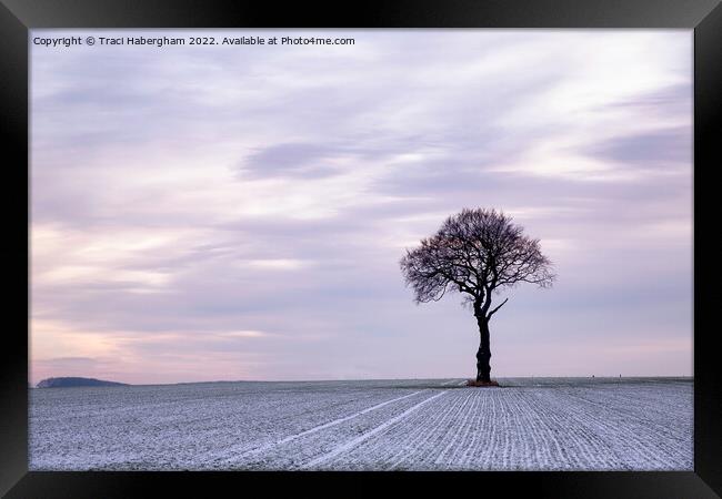 The Lone Tree Framed Print by Traci Habergham
