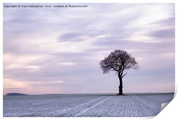 The Lone Tree Print by Traci Habergham