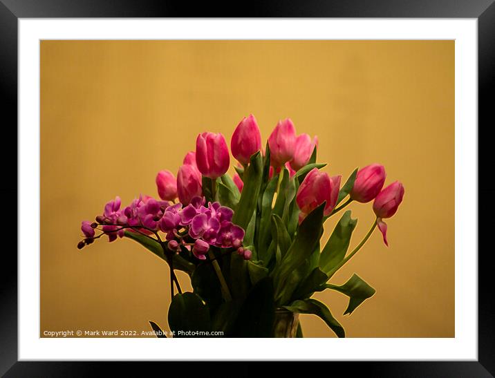 Orchid and Tulips Framed Mounted Print by Mark Ward