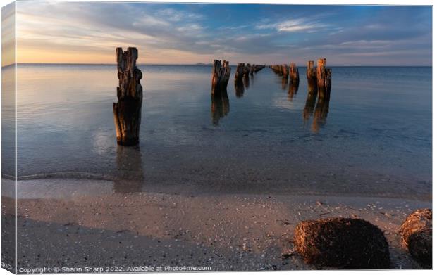 Sunset at the Dell Canvas Print by Shaun Sharp