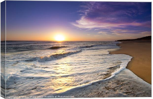 A Golden Path Canvas Print by Shaun Sharp