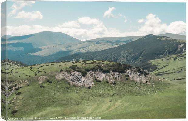 View on the Mountains of Transalpina Romania Canvas Print by Veronika Druzhnieva
