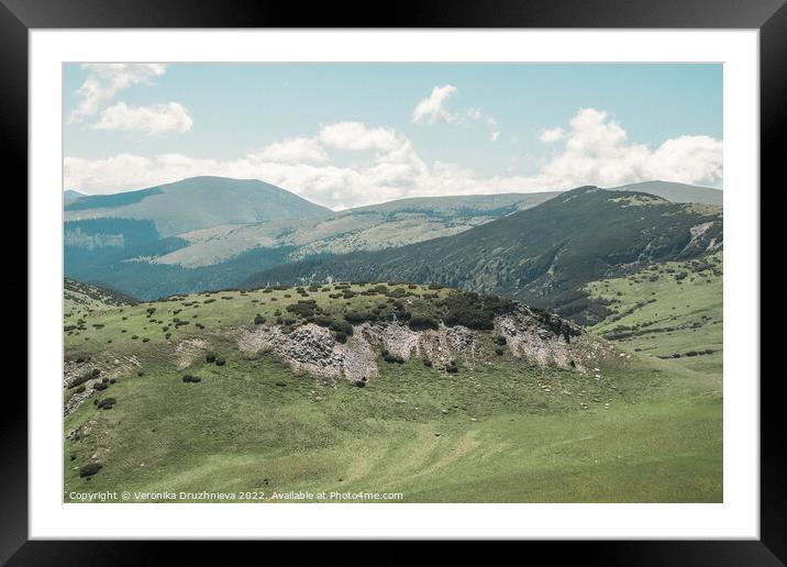 View on the Mountains of Transalpina Romania Framed Mounted Print by Veronika Druzhnieva