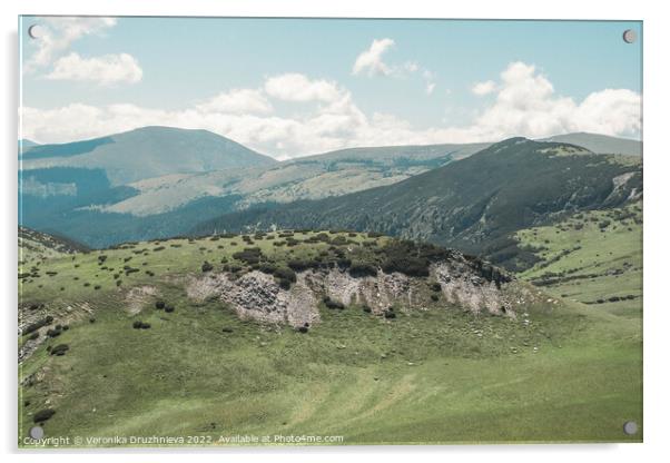 View on the Mountains of Transalpina Romania Acrylic by Veronika Druzhnieva