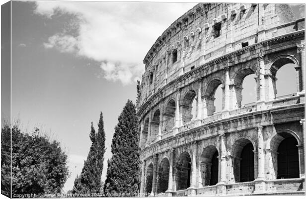 Building Coliseum Canvas Print by Veronika Druzhnieva