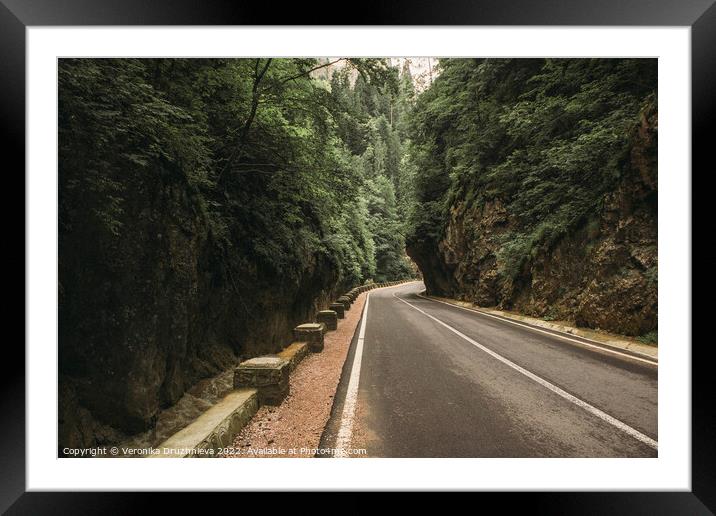 Outdoor road in Romania, Bicaz Gorge Framed Mounted Print by Veronika Druzhnieva