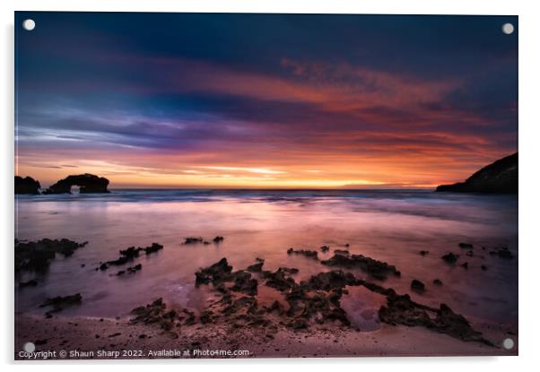 Sunset at Bridgewater Bay Acrylic by Shaun Sharp