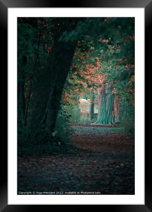 The hidden tree Framed Mounted Print by Ingo Menhard