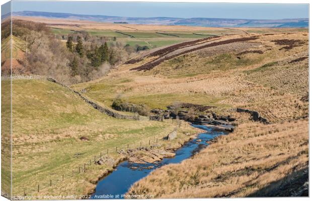 Trough Heads, Teesdale Canvas Print by Richard Laidler