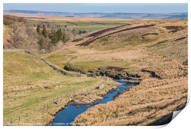 Trough Heads, Teesdale Print by Richard Laidler