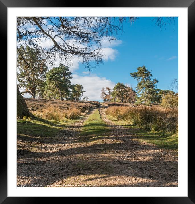 Onto Gilmonby Moor Framed Mounted Print by Richard Laidler