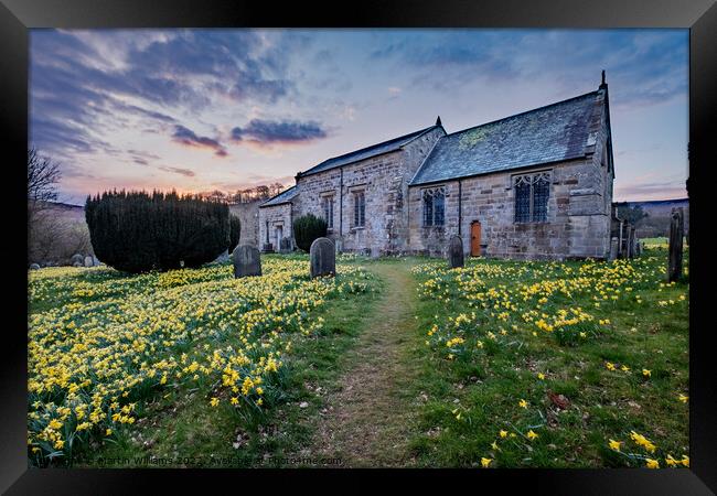 Spring daffodils at St Mary's church in Farnedale, North Yorkshi Framed Print by Martin Williams