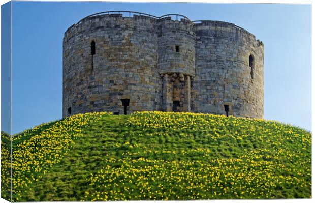 Cliffords Tower, York in Spring Canvas Print by Darren Galpin