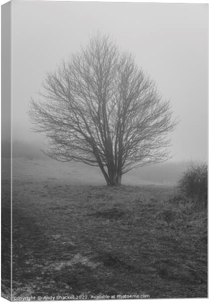 Tree in the mist Canvas Print by Andy Shackell
