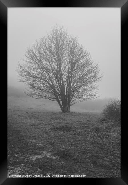 Tree in the mist Framed Print by Andy Shackell