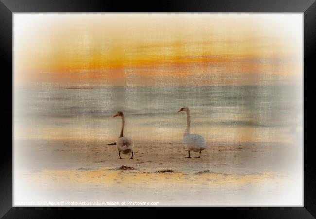 Swans At Sunset On Seamill Beach Framed Print by Tylie Duff Photo Art