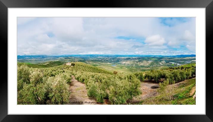Small farmhouse between olive plantations in Andalusia. Framed Mounted Print by Joaquin Corbalan