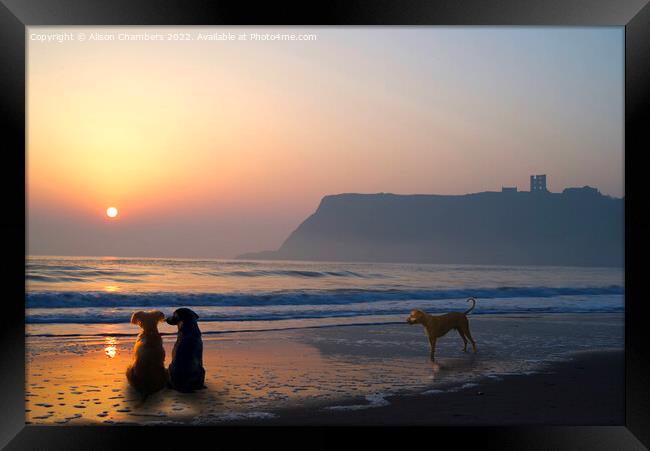 Scarborough Sunrise  Framed Print by Alison Chambers