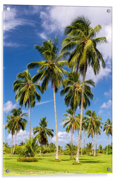 Coconut palms in Kahanu Garden on Maui, Hawaii Acrylic by Angus McComiskey
