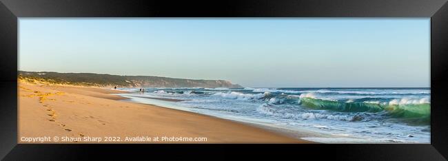 An Evening Walk at Gunnamatta Beach Framed Print by Shaun Sharp