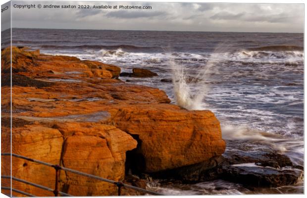 SPLITTING Canvas Print by andrew saxton