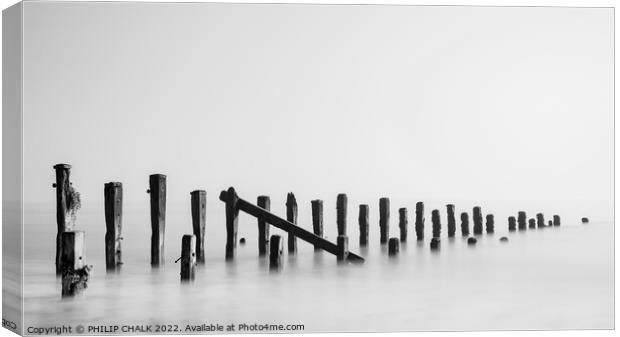 Black and white groynes 688 Canvas Print by PHILIP CHALK