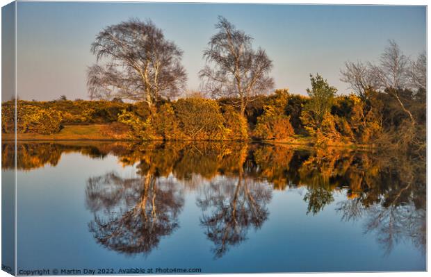 Gilded Reflections Canvas Print by Martin Day