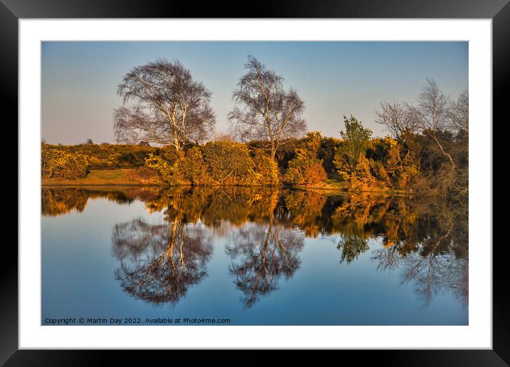 Gilded Reflections Framed Mounted Print by Martin Day