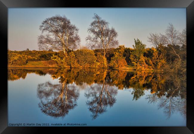 Gilded Reflections Framed Print by Martin Day